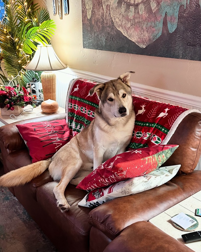 100de99f-d187-4a78-8d40-54cc117388f3-1